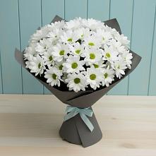 Букет цветов из:  Хризантемы #REPLACE_PRED# Алексеевской Волгоградской области
