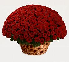 Премиум букет из: Розы в Алексеевской Волгоградской области