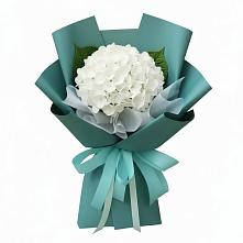 Букет цветов из:  Гортензия #REPLACE_PRED# Алексеевской Волгоградской области
